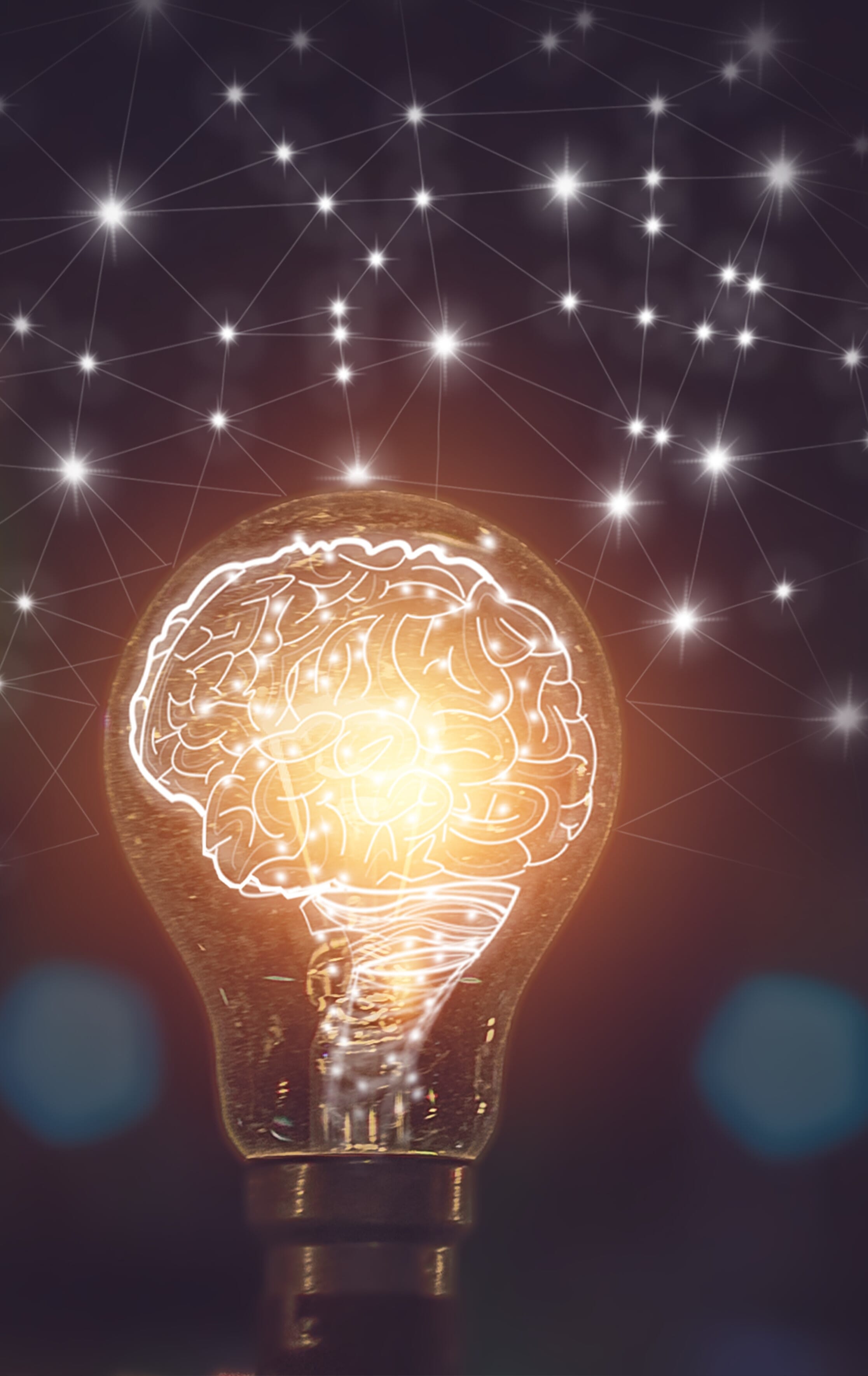 AdobeStock_556240803